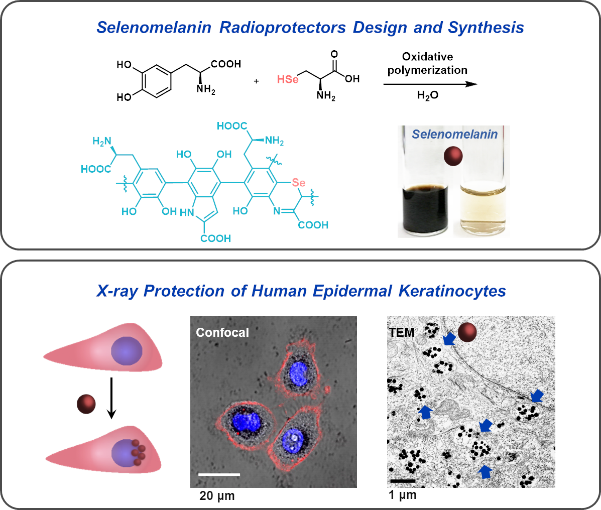 Research – CAO RESEARCH GROUP